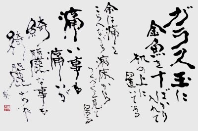 ガラス玉に金魚を十ばかり入れて机の上に置いてある。余は痛をこらへながら病床からつくづくと見て居る。痛い事も痛いが綺麗な事も綺麗ぢゃ。